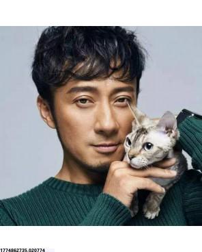 丹尼尔·尼科莱特